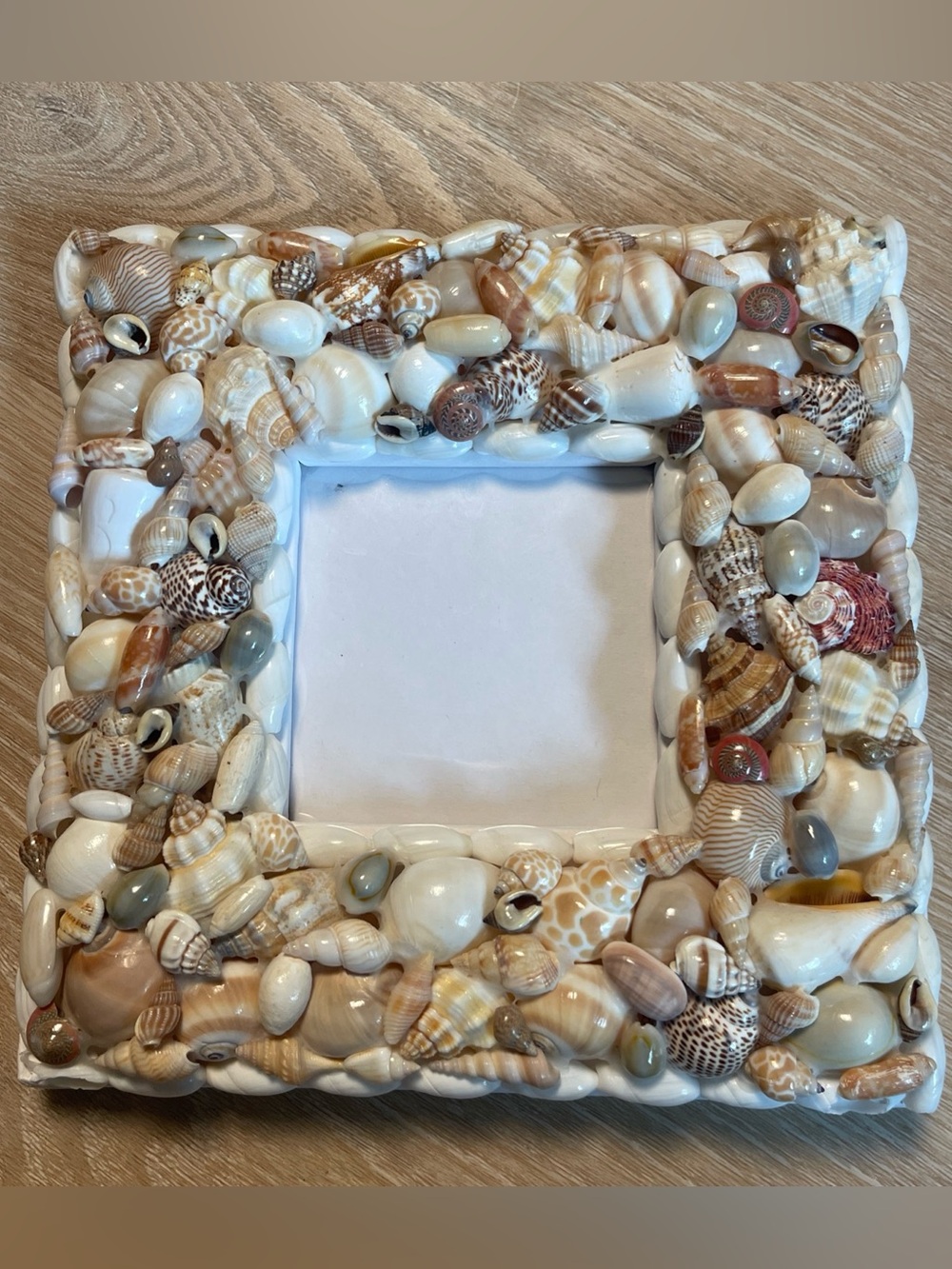 Seashell shell art picture frame Ocean Beach Cottage Fisherman Art
